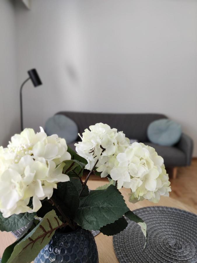 Niinivaara Apartment Saunallinen Ja Ilmastoitu Majoitus Йоенсуу Екстер'єр фото